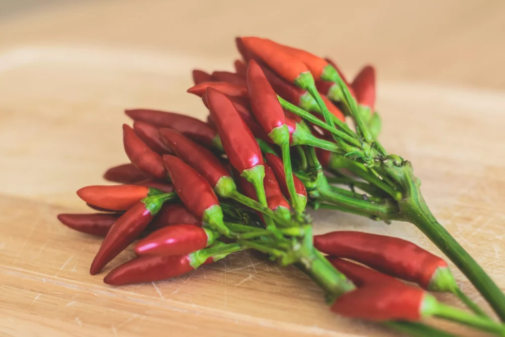 Pieprz cayenne a chili – różnice, zastosowanie i właściwości